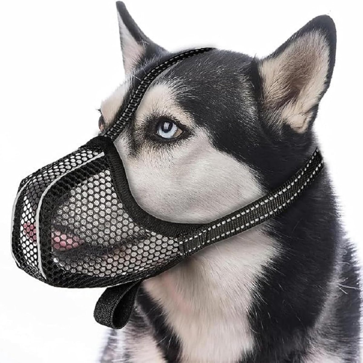 Muilkorf voor honden, fosforescerend, bijtbescherming, verstelbare en ademende muilkorf voor training of wandelingen 's nachts, zacht en sabotagebestendig, zwart