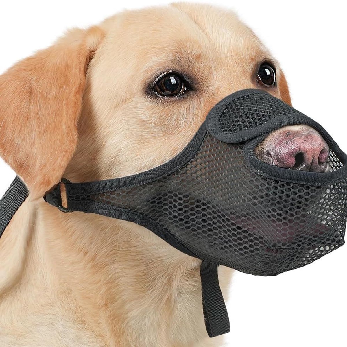 Muilkorf voor honden, zacht, ademend en comfortabel, muilkorf voor honden, verstelbaar, riem voorkomt knabbelen en bijten, zwart, XL