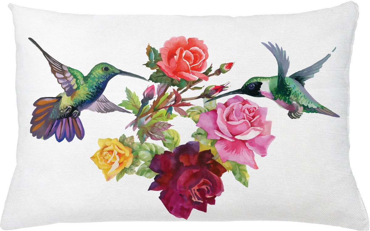 ABAKUHAUS Vogels Sierkussenhoes, Hand Getekend Ornate Kleurrijk Roses en Aquarel Hummingbirds Romantisch Illustratie, Decoratieve Rechthoekige Sierkussenhoes, 65 x 40 cm, Sage Groen