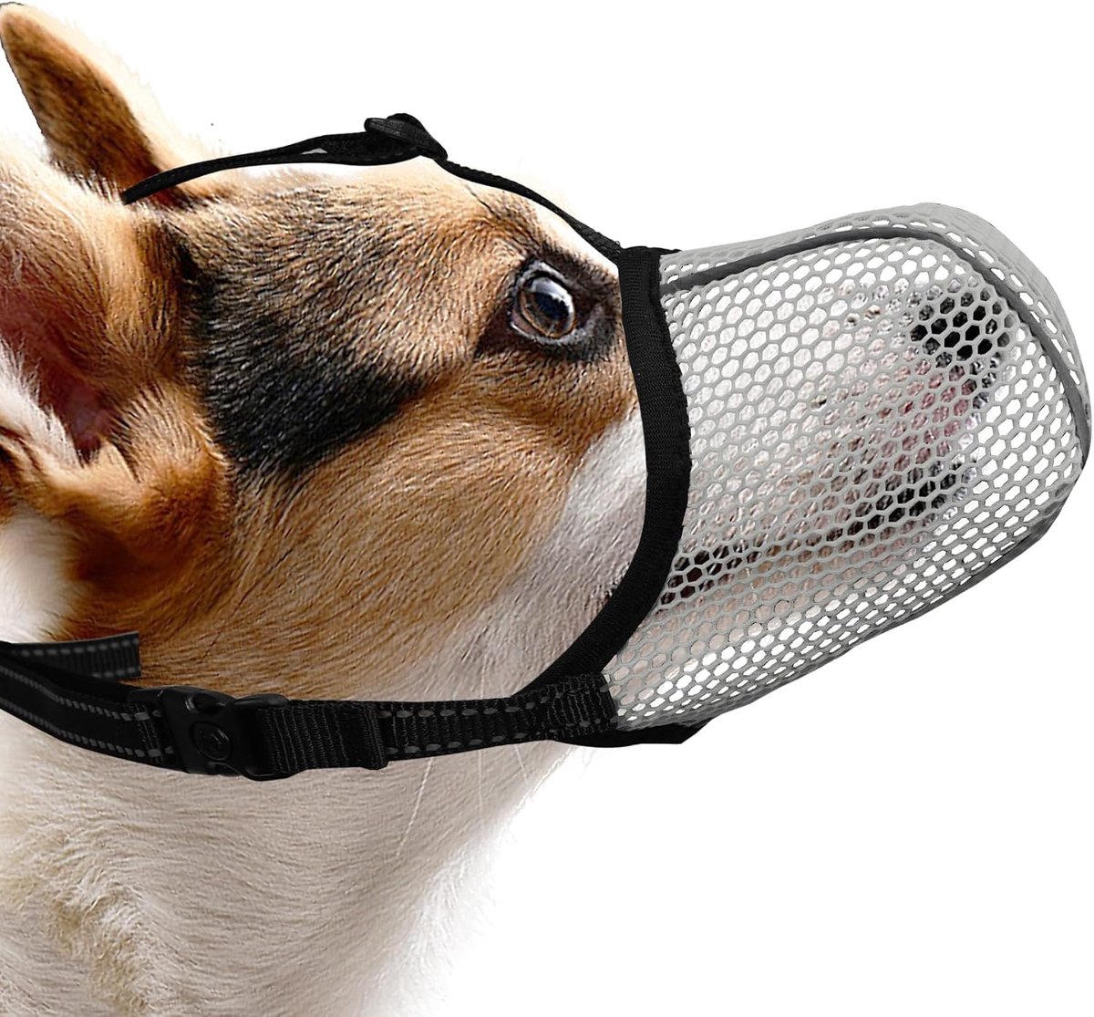 Grijze Honden Muilkorf voor Kleine Honden om Scavenging