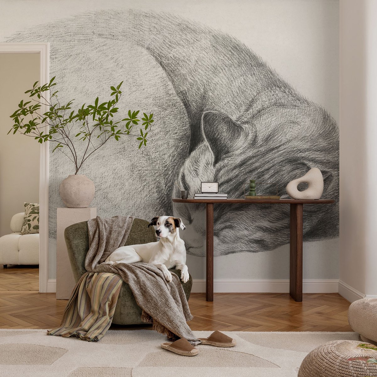 Coloray Vliesbehang - Grijs Snellijm Behang - 104x70 cm - Opgerolde Kat Muurschildering - Slaapkamer behang Dieren - Fotobehang Vlies - Gang behang