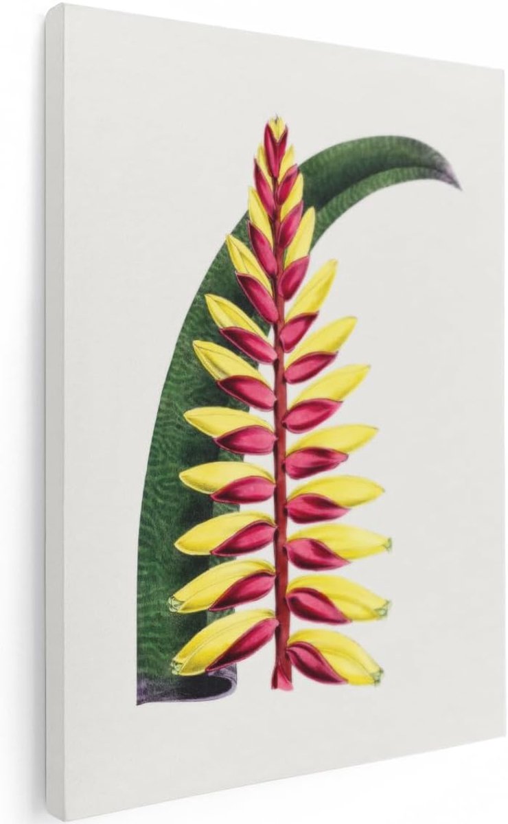 Canvas Schilderij Tropische Bloem - 90x120 cm - Groot - Botanische Wanddecoratie Bloemen - Muurdecoratie Plant - Vintage Schilderijen Op Canvas