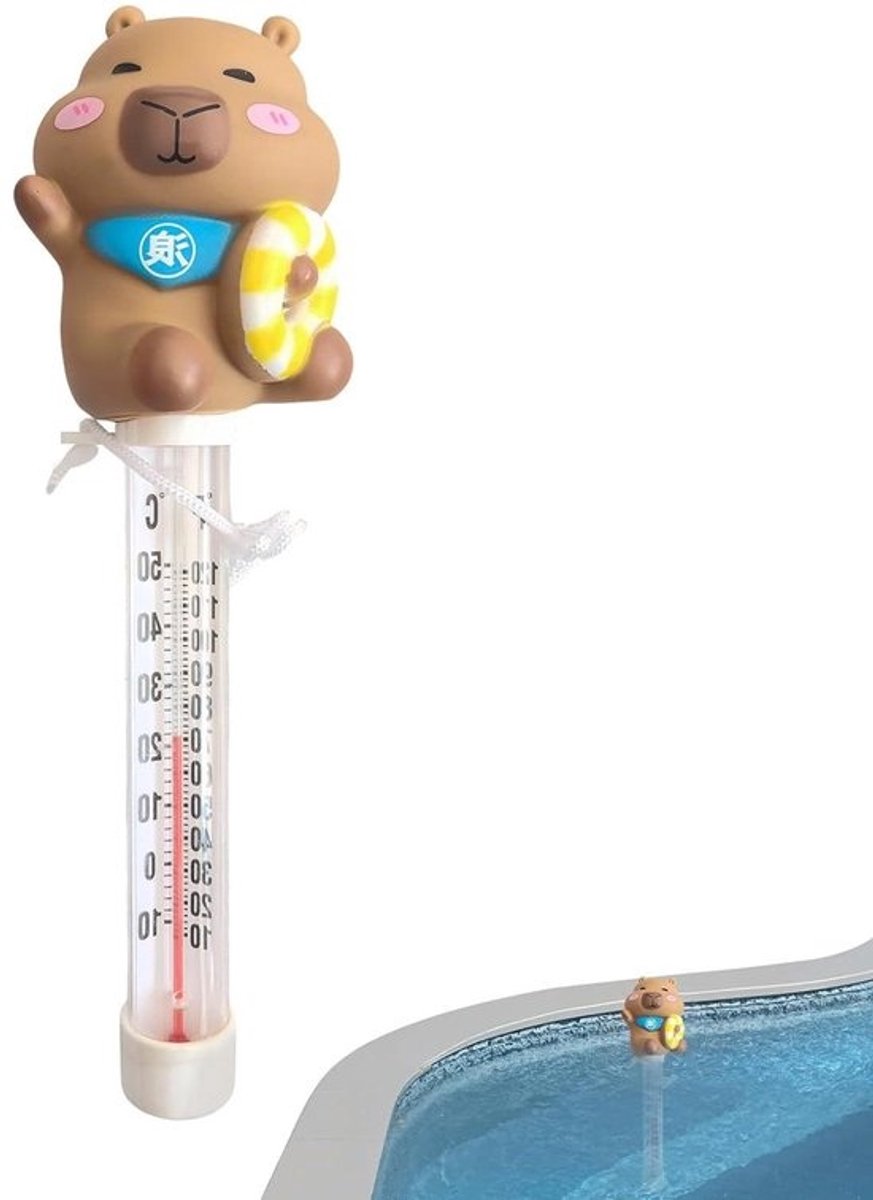 Zwembadwatertester - Watermeter - Waterkwaliteit Meten - Drijvend Ontwerp - 22 cm - Veelkleurig