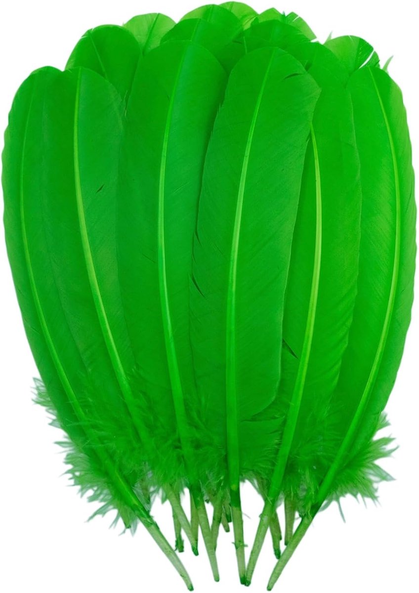 Veren 25-30 cm, 24 stuks veren bulk voor knutselen, doe-het-zelf natuurlijke grote verenambachten voor decoraties (groen)