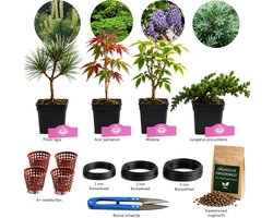 Bonsai Starterset - 4 Buitenbonsai - Compleet Pakket