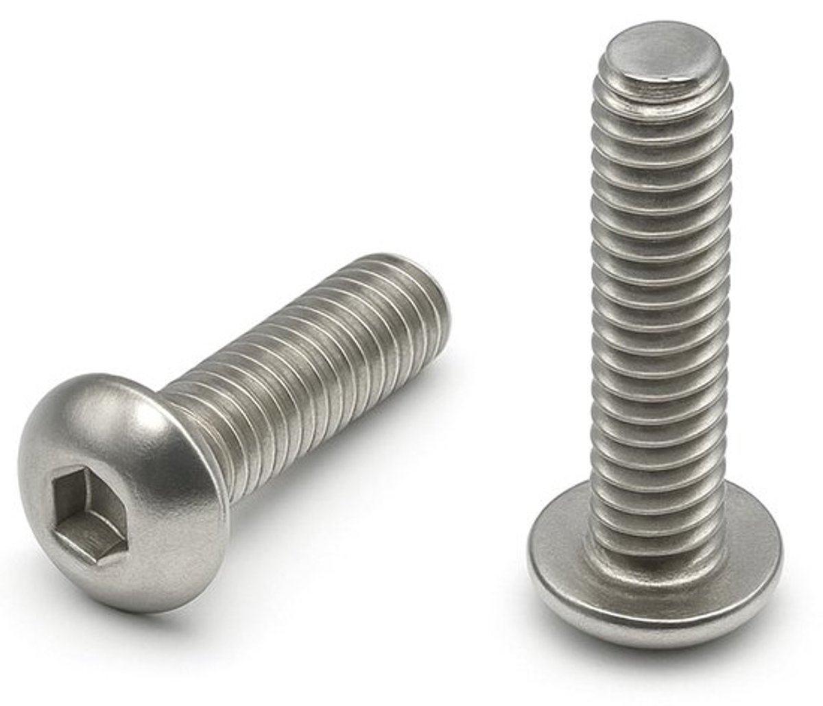 20 Stuks Roestvrijstalen Schroeven M5 x 40 mm Lenskop A2 - Zeskantige Metalen Schroeven