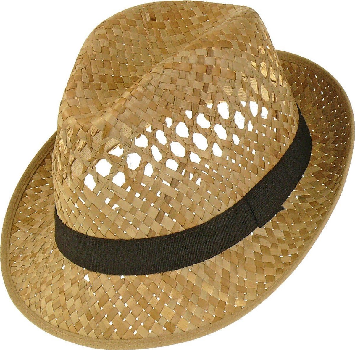 Heren Fedora Hoed