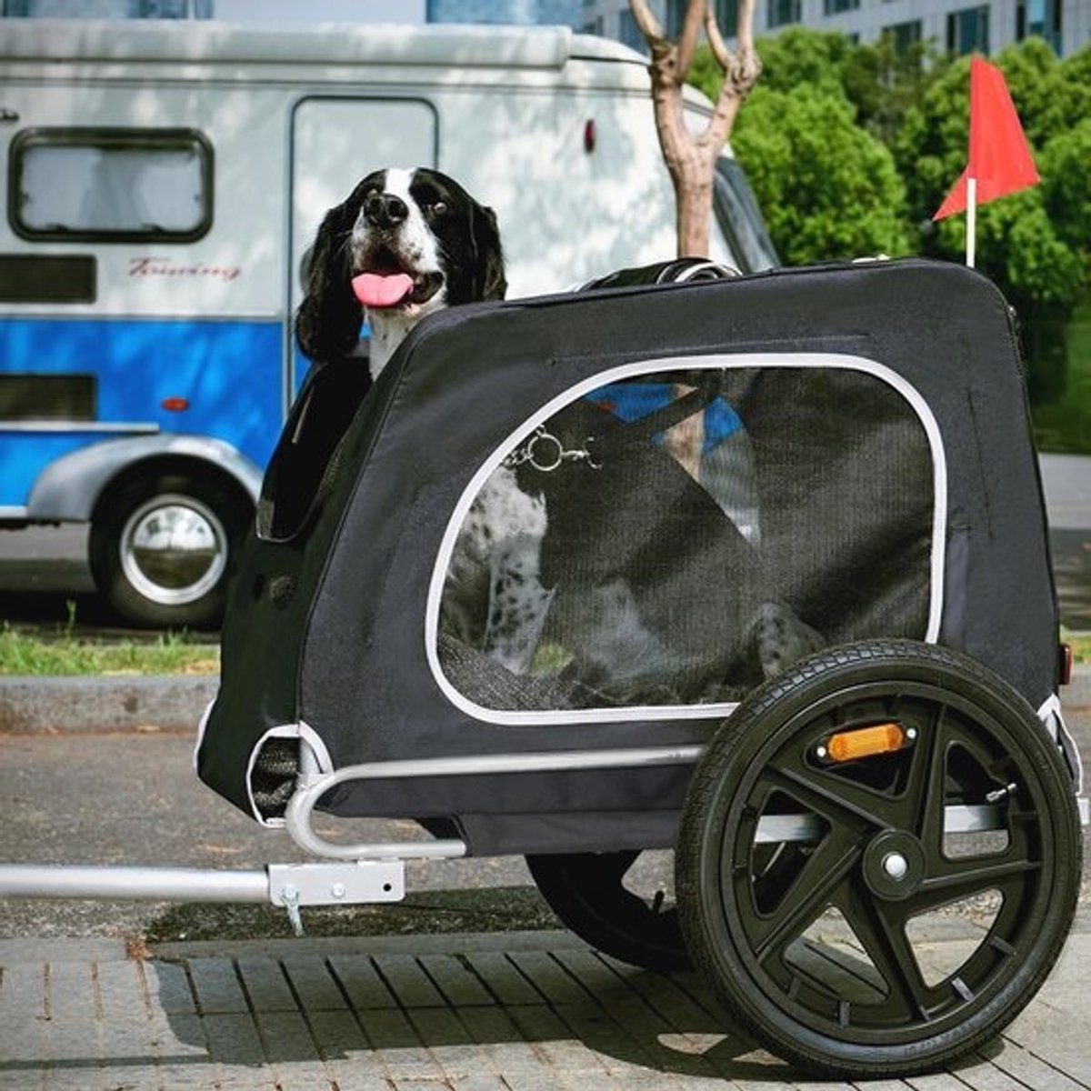 Hondenaanhanger Fiets - Hondenbuggy Aanhanger - Samen Fietsen - Inklapbaar Ontwerp - Tot 20 kg - Zwart