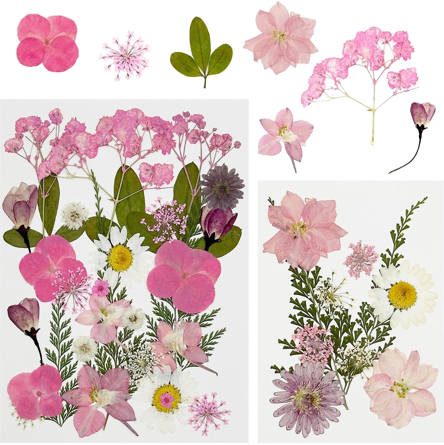 Famanu Geperste gedroogde bloemen set van 40 stuks voor hars, scrapbooking en epoxycreaties