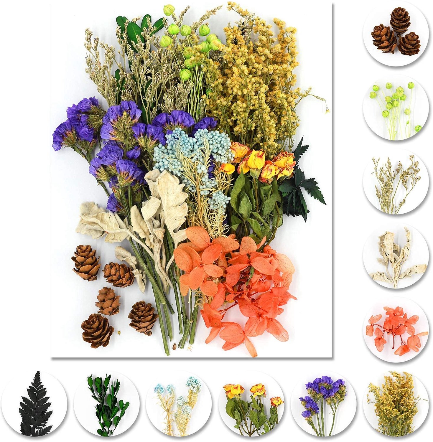 Famanu Natuurlijke gedroogde bloemen voor kunst en knutselen 10 stuks