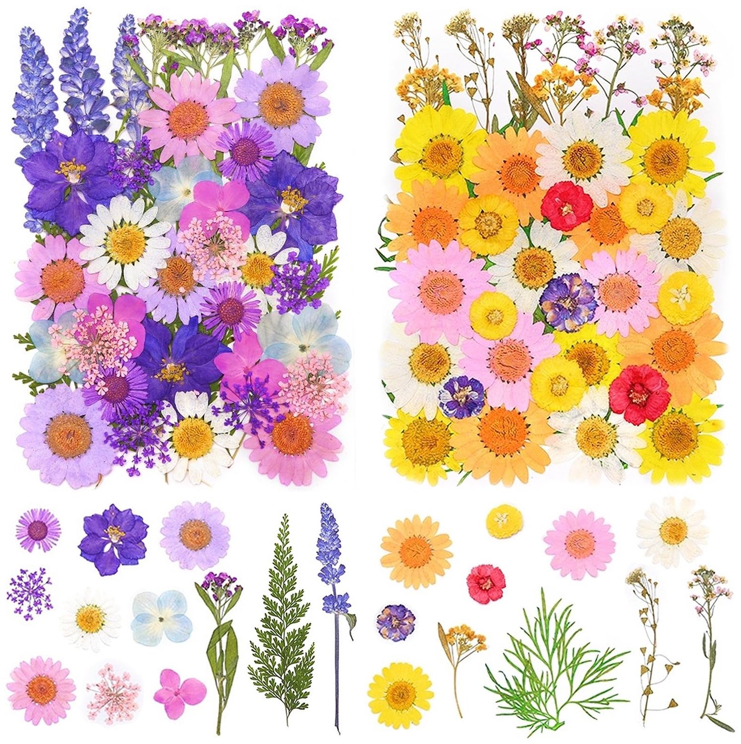 Famanu Geperste gedroogde bloemen set met 81 stuks voor sieraden en scrapbooking