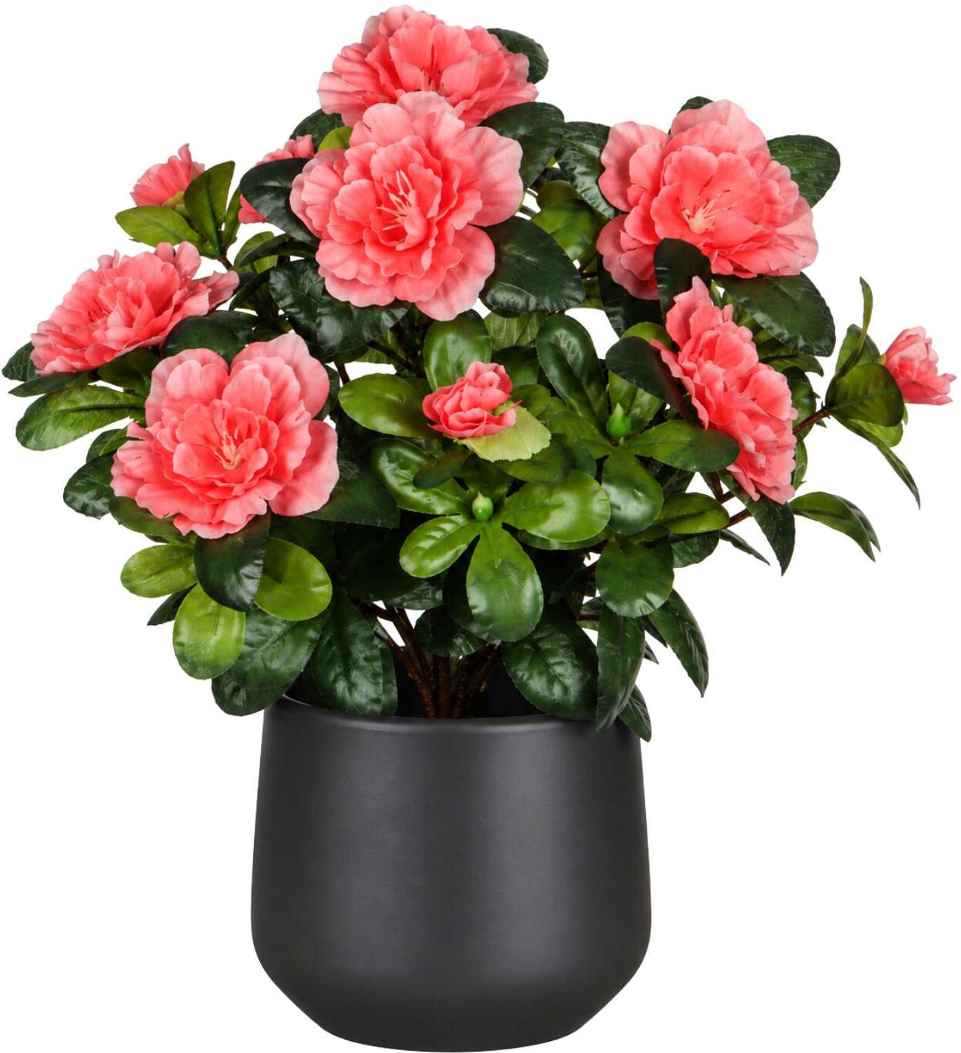 Mica Decorations Kunstplant - Azalea roze - H27 cm - in antraciet bloempot - keramiek - complete set van pot en plant - decoratie stuk