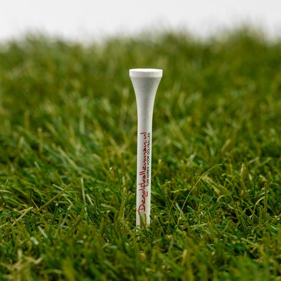 Golfballenmix - Lakeballs - 100 gebruikte golfballen + 50 tees — afbeelding 3