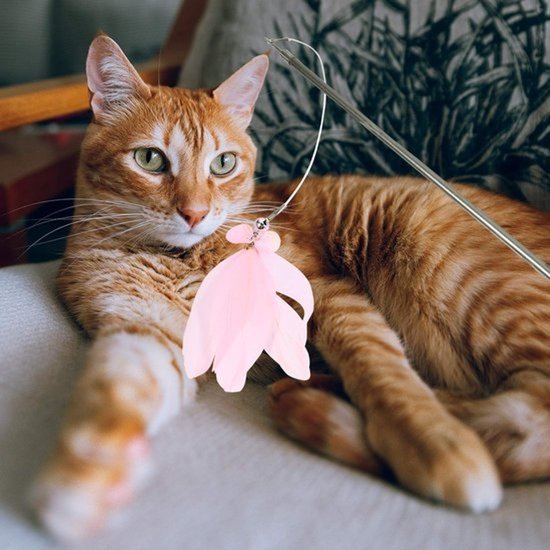 Kattenhengelspeelgoed - Kattenstok en speelhengel - Voor spelen met katten - Telescopische hengel - 40 cm - Roze — afbeelding 2