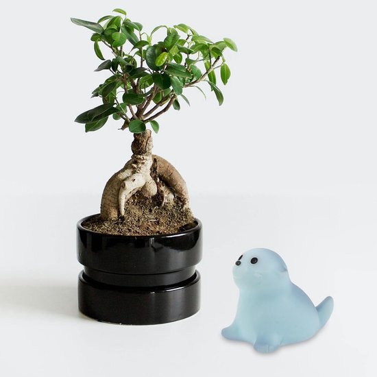 8 Stuks mini-harsdieren speelgoed voor zeedieren Kleine dierenbeeldjes — afbeelding 2