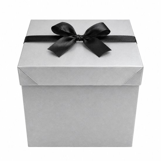 Matzilveren geschenkdoos met deksel en zwarte strik, frontaal aanzicht.