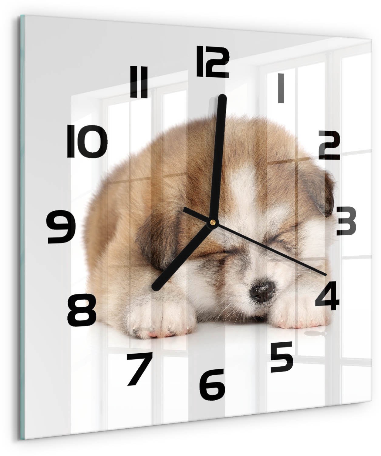TULUP Wandklok - Akita-puppy Glazen Wandklok Design - 30x30 cm - Oranje Klok Glas Met Opdruk - Zwarte handen - Vierkante Klok - Wandklok Glas Met Motief - Decoratieve Glazen Klok