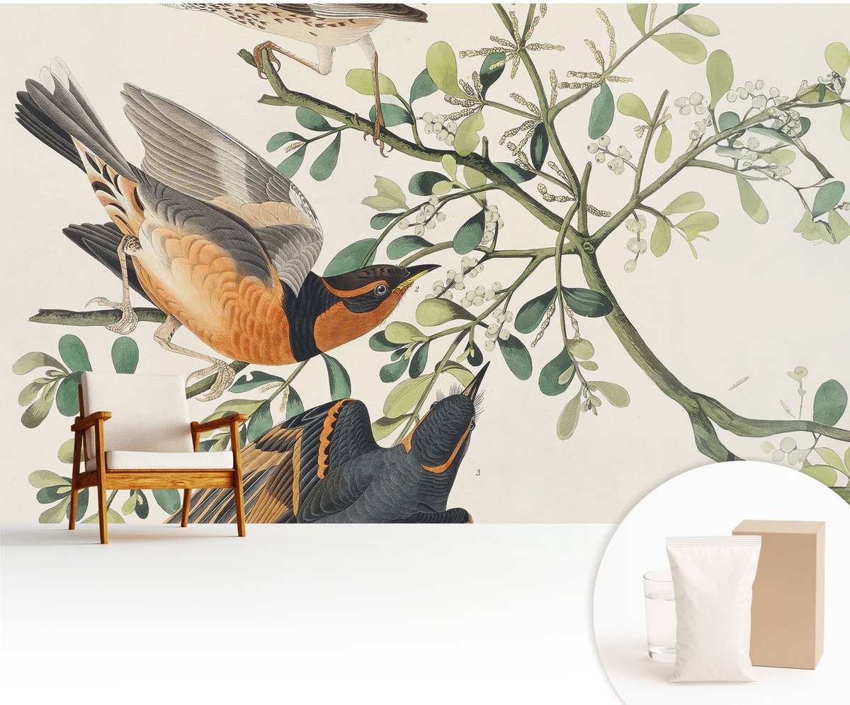 Wallfluent Fotobehang - Wit Vliesbehang - 416x254 cm - Kleurrijke Vogels Muurschildering - Gang behang Dieren - Fotobehang Vlies - Slaapkamer behang