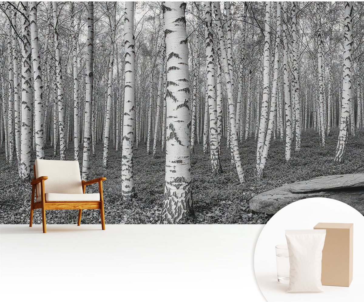 Wallfluent Fotobehang - Zwart-Wit Vliesbehang - 416x254 cm - Berkenbos Muurschildering - Slaapkamer behang Bloemen En Planten - Fotobehang Vlies - Slaapkamer behang