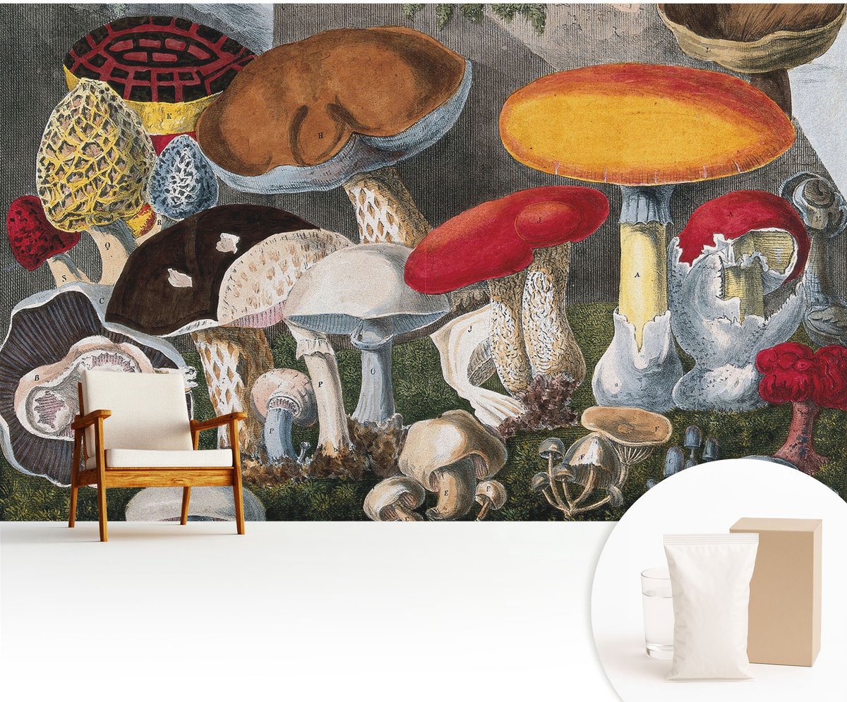 Wallfluent Fotobehang - Bruin Vliesbehang - 416x254 cm - Botanische Paddenstoelen Muurschildering - Gang behang Deel - Fotobehang Vlies - Gang behang