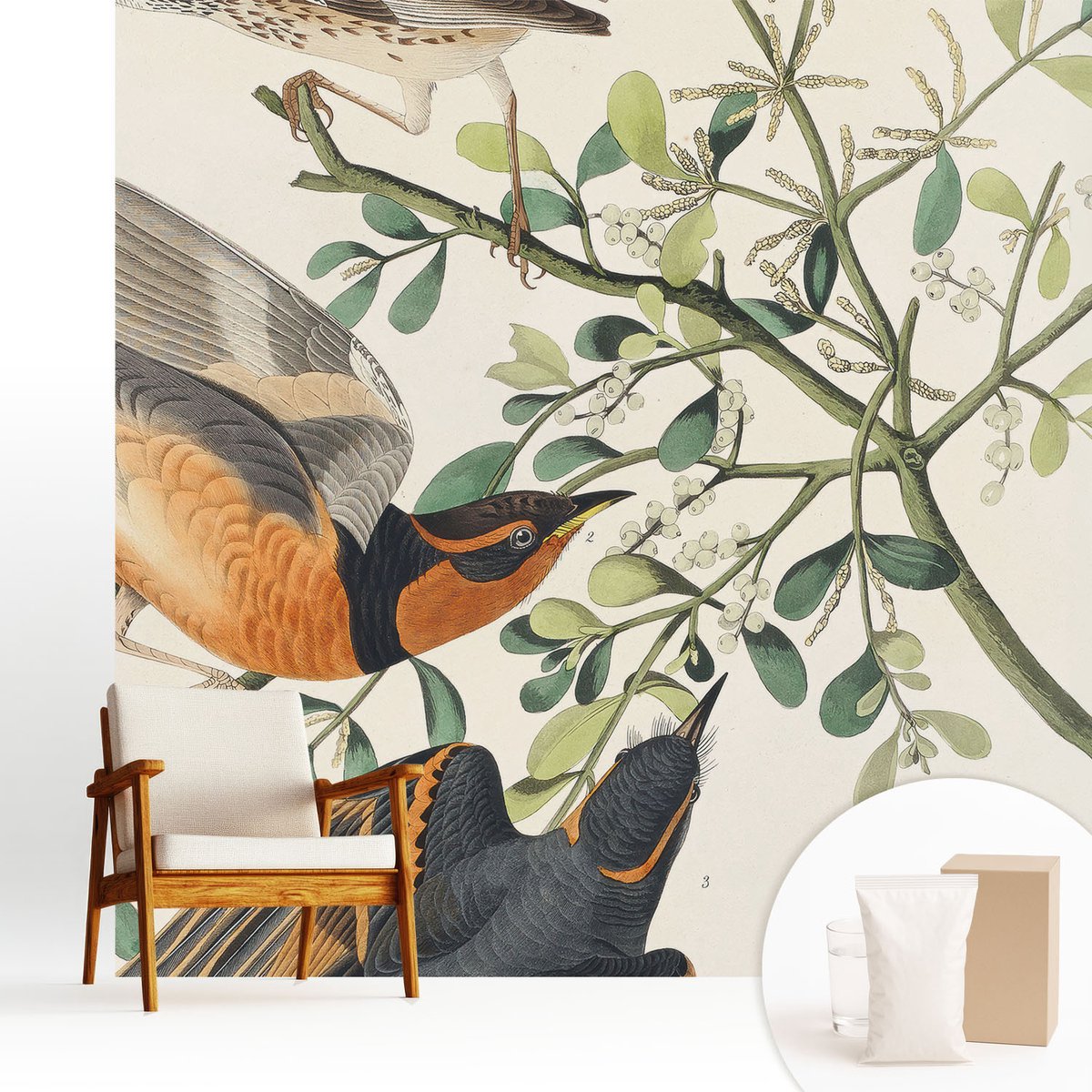 Wallfluent Fotobehang - Wit Vliesbehang - 250x250 cm - Kleurrijke Vogels Muurschildering - Gang behang Dieren - Fotobehang Vlies - Slaapkamer behang
