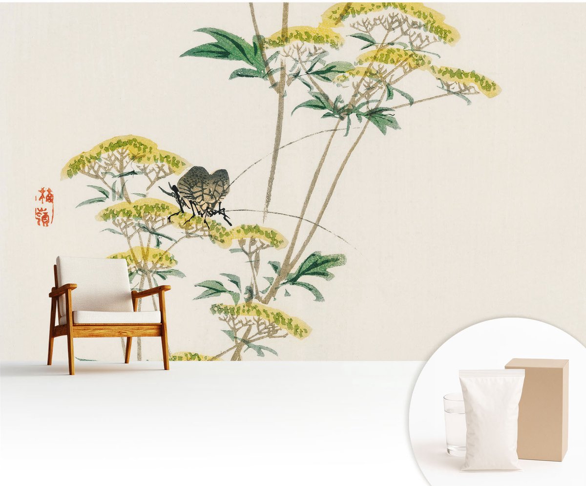 Wallfluent Fotobehang - Wit Vliesbehang - 416x254 cm - Bloemen Natuur Fotobehang Vlies - Hal behang Bloemen En Planten - Muurschildering - Hal behang