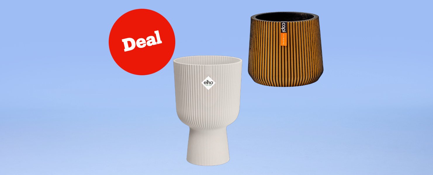 Deals Deals