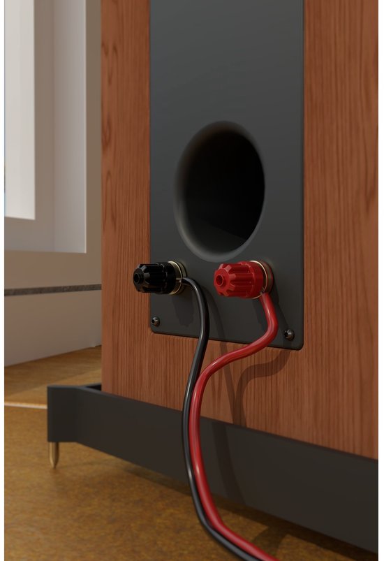 Zwarte en rode luidsprekerkabel aangesloten op de aansluitingen van een houten luidspreker.