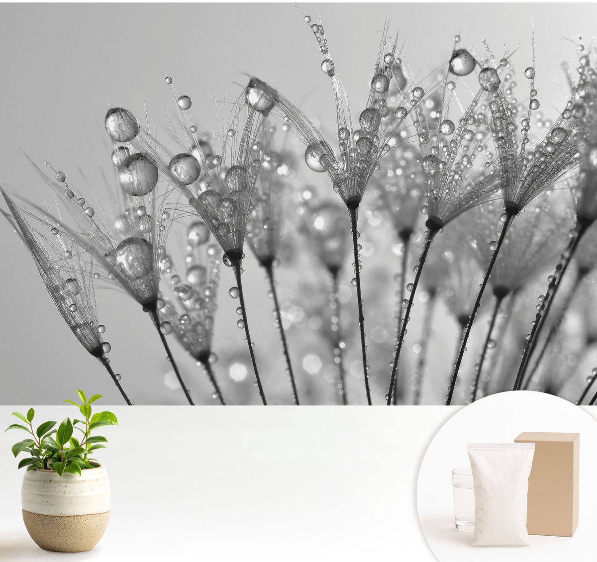 Wallfluent Fotobehang - Wit Vliesbehang - 104x70 cm - Natte Delicatesse Muurschildering - Gang behang Bloemen En Planten - Fotobehang Vlies - Slaapkamer behang