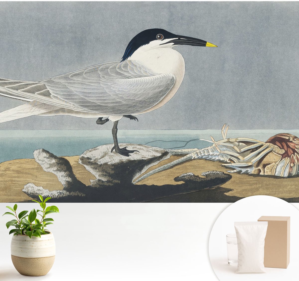 Wallfluent Fotobehang - Grijs Vliesbehang - 104x70 cm - Ornithologische Elegantie Muurschildering - Slaapkamer behang Dieren - Fotobehang Vlies - Slaapkamer behang