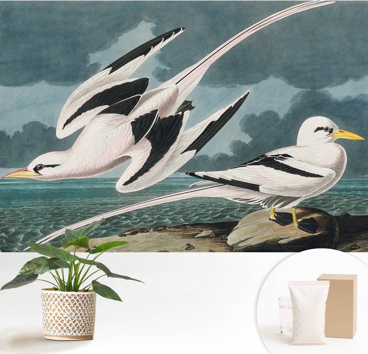 Wallfluent Fotobehang - Grijs Vliesbehang - 152x104 cm - Vogels Aan Zee Muurschildering - Slaapkamer behang Dieren - Fotobehang Vlies - Gang behang
