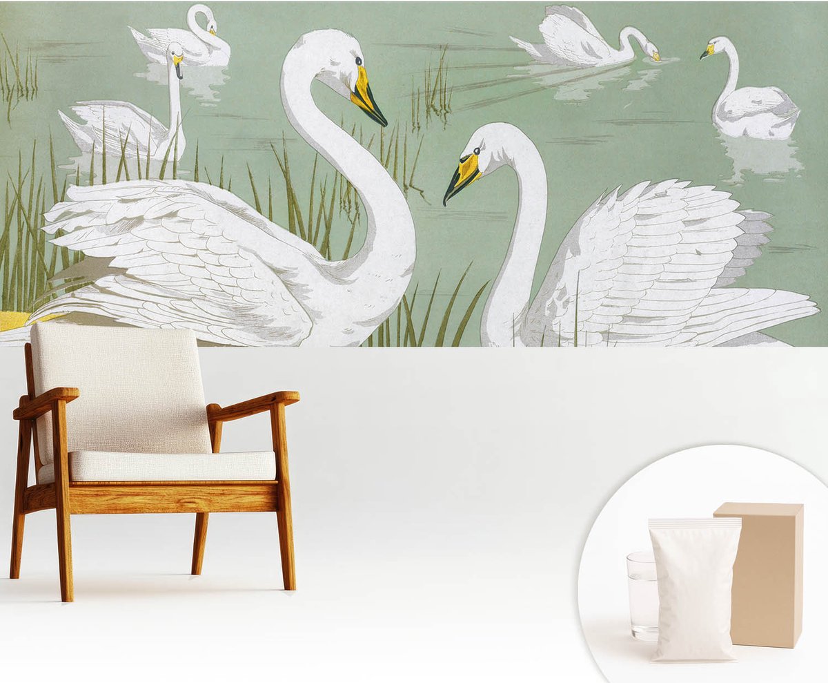 Wallfluent Fotobehang - Wit Vliesbehang - 250x104 cm - Zwanenmeer Muurschildering - Gang behang Dieren - Fotobehang Vlies - Slaapkamer behang