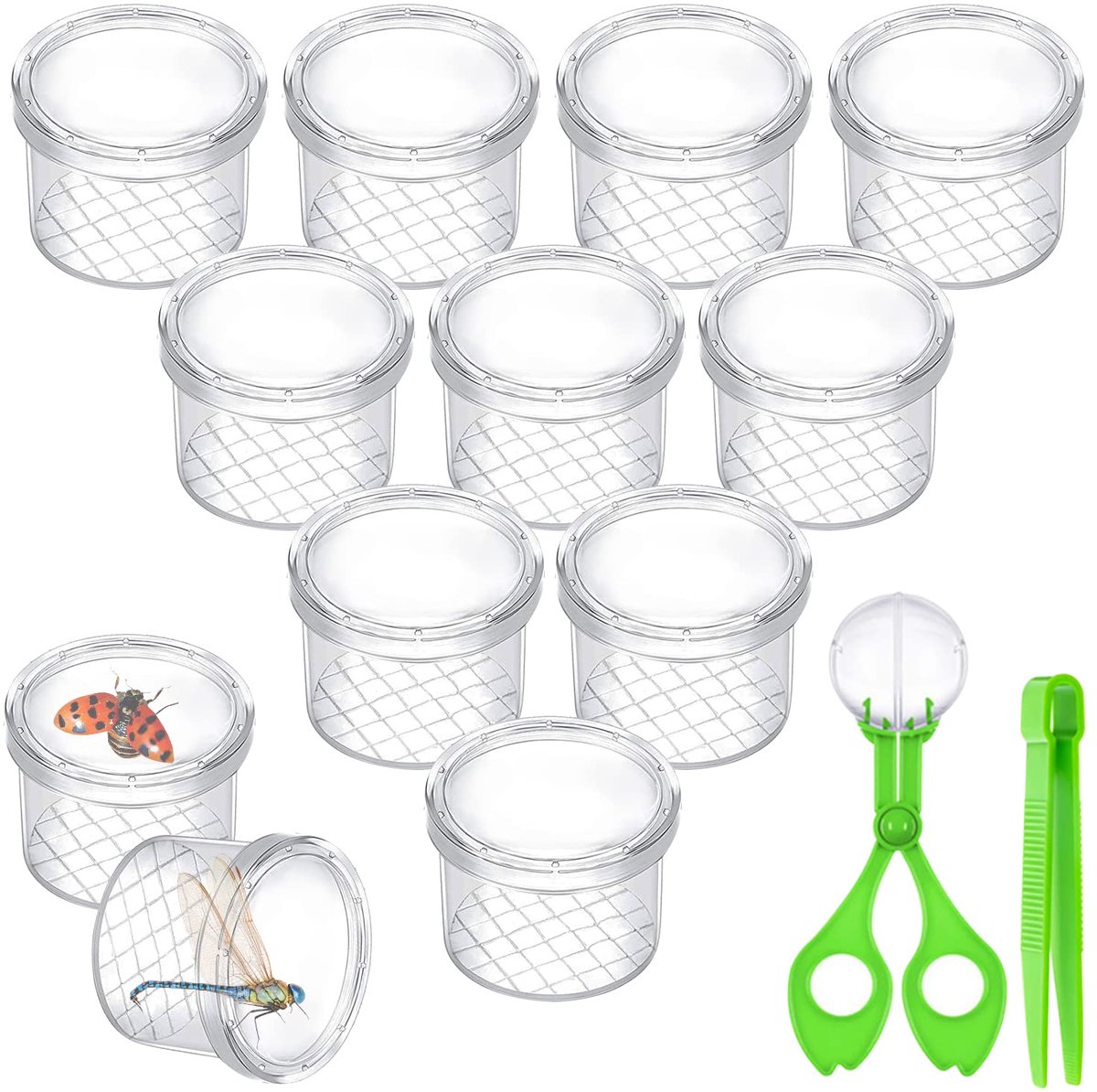 AFAIK Bekervergrootglas voor kinderen, vergrootglas, 12 stuks, voor wetenschap/biologie en verzameling van insecten - ShopVlot