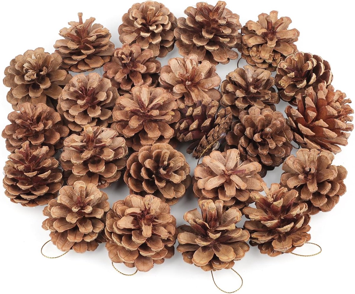 24 Stuks Dennenappels voor Ambachten - 5 cm Met Gouden Lanyard voor Kerstboom en Winterdecoratie
