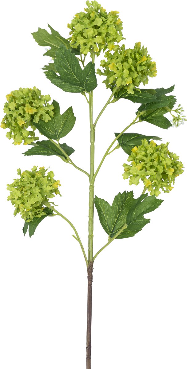 Easyplants | Kunsttak Sneeuwbal 77 cm groen | Zijde | Nepbloemen | groen | Onderhoudsvrij | Kant-en-klaar