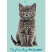 Verjaardagskalender Katten - Exclusieve Katten Illustraties - Kalender - Wandkalender - Maandkalender - Planner - Verjaardag - A4 Formaat - Jaarplanner - Zonder Jaartal - Verjaardagskalenders - Jaarkalender - Cats - Fantasy - Cat - Calendar - Kat