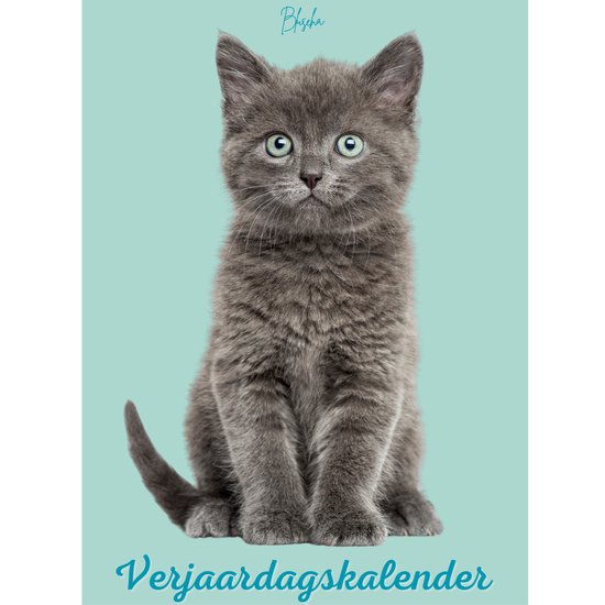 Blauwgrijze kitten met grote groene ogen, zittend op een mintgroene achtergrond. "Verjaardagskalender" tekst onderaan.