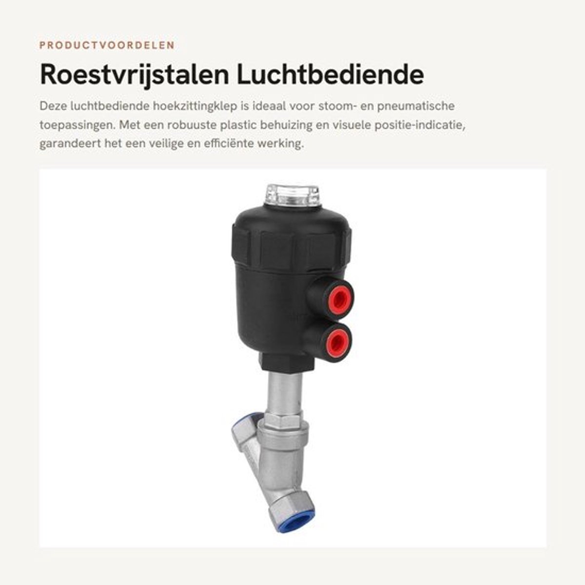 Pneumatische Klep - Dailygoods- Stoomklep Roestvrij staal