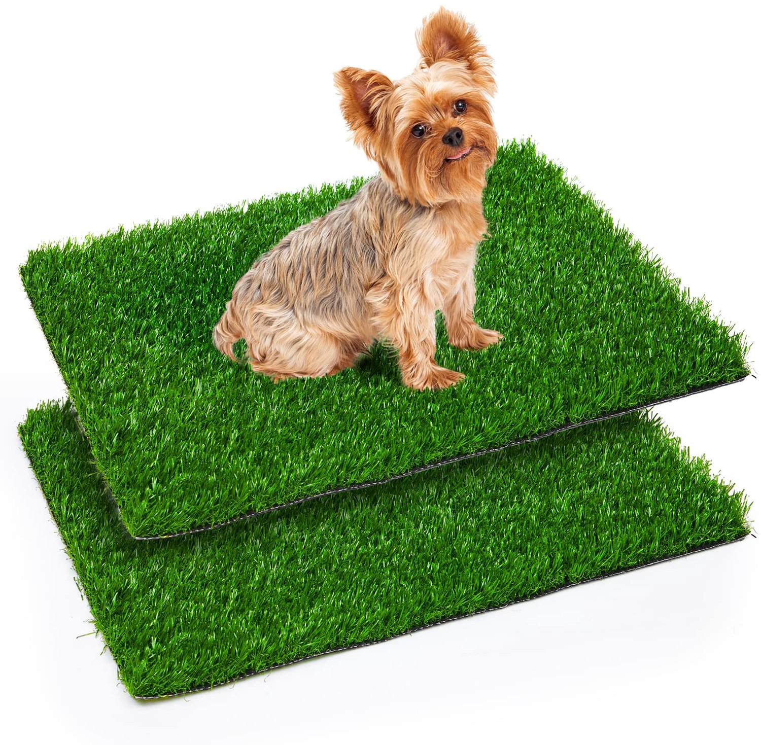 Kunstgras Puppy Toilet Training Pads, Set van 2 Stuks