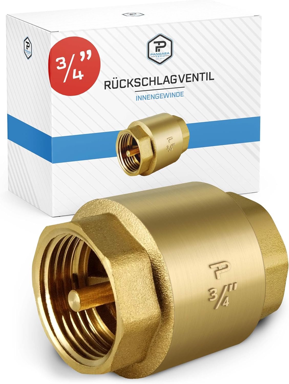 Universeel Keerventiel 3/4" - RVS Terugslagklep met Binnendraad