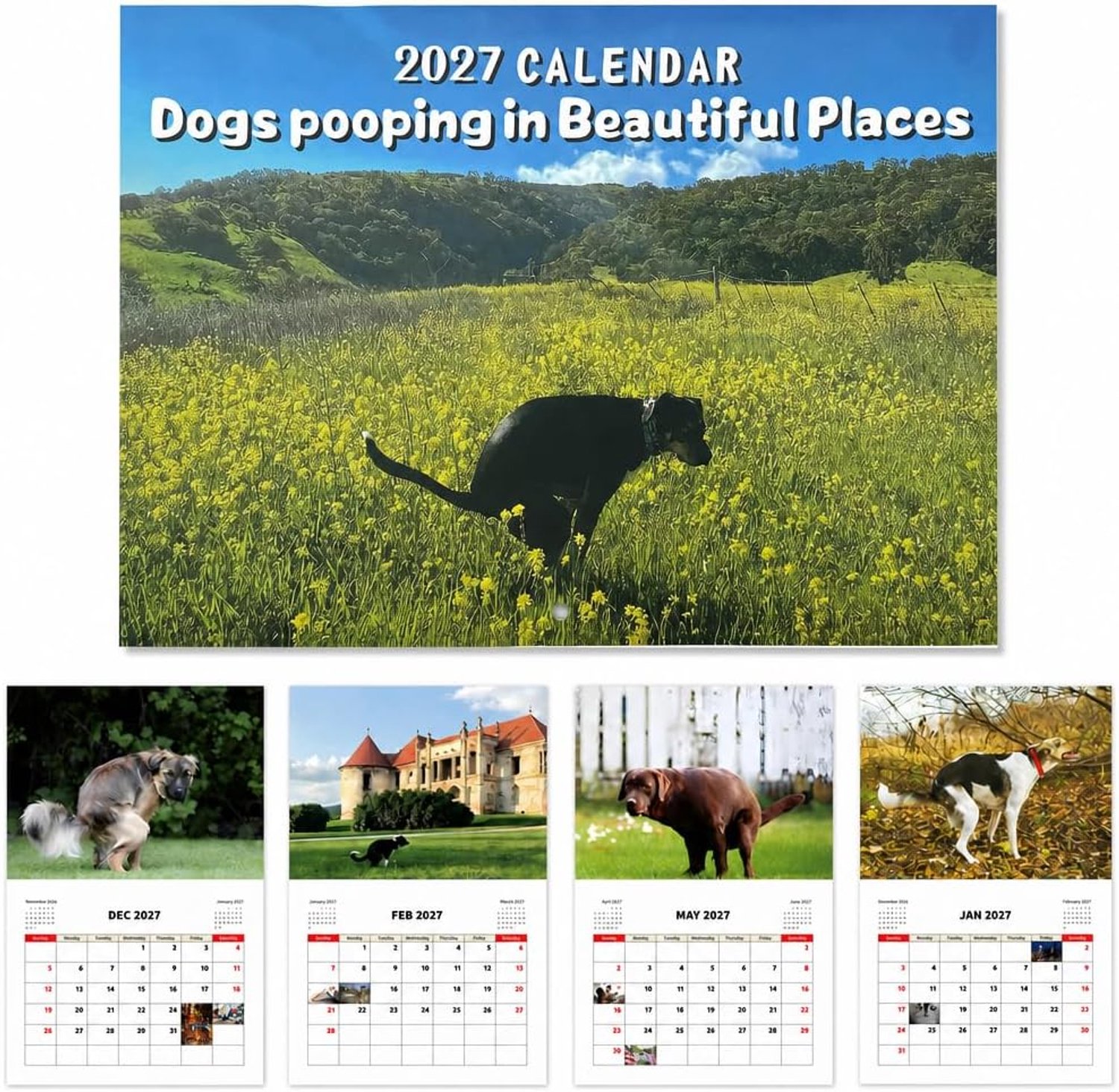 2027 Dogs Pooping In Beautiful Places Kalender,Grappige 2027 Puppy Wandkalender, Cadeau voor vrienden, familie, buren