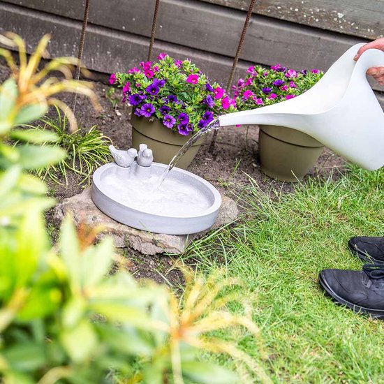 Grijze vogeldrinkschaal in de tuin, bijgevuld met een witte gieter, omringd door paarse bloemen.