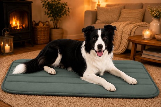 Bordercollie ligt op een grijsgroen kussen in een warme woonkamer met een open haard op de achtergrond.