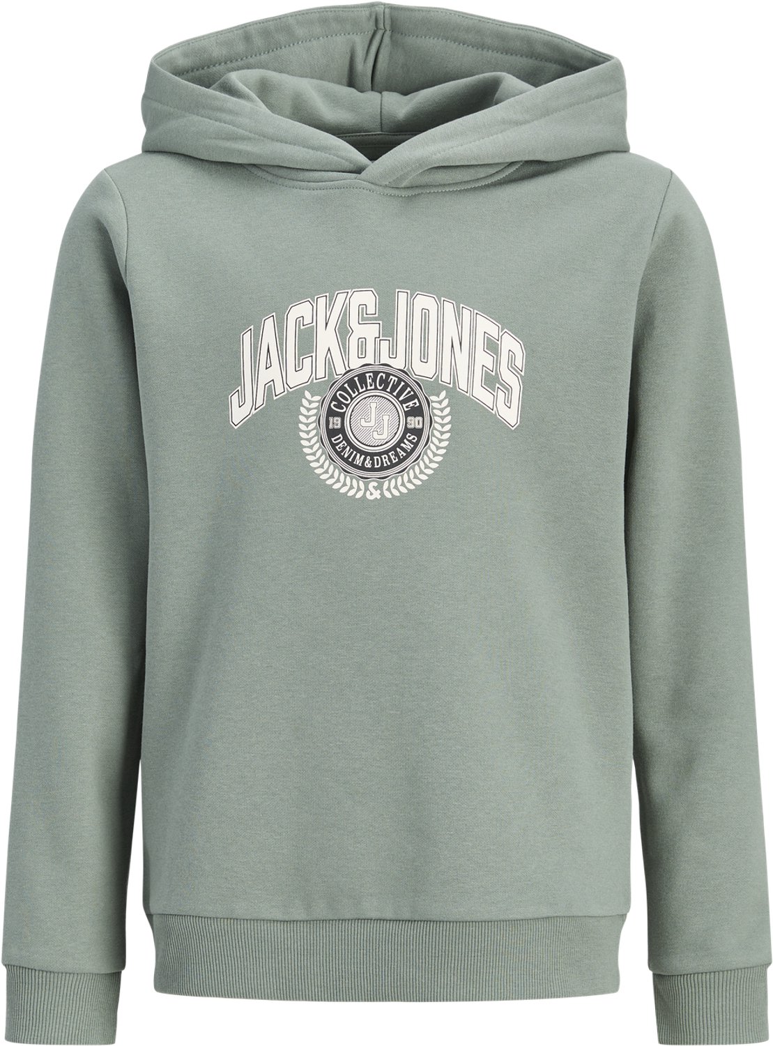 JACK & JONES JUNIOR - JJCOLLEGEY LOGO SWEAT HOOD JNR Jongens Trui
