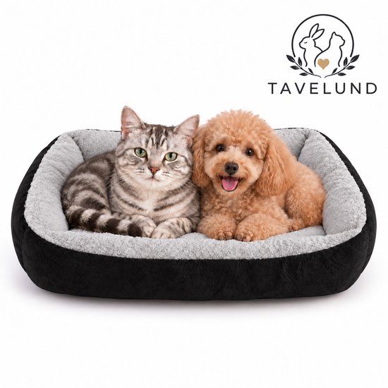 Chat tigré gris et caniche marron ensemble dans un lit pour chien noir en velours côtelé avec intérieur gris doux.
