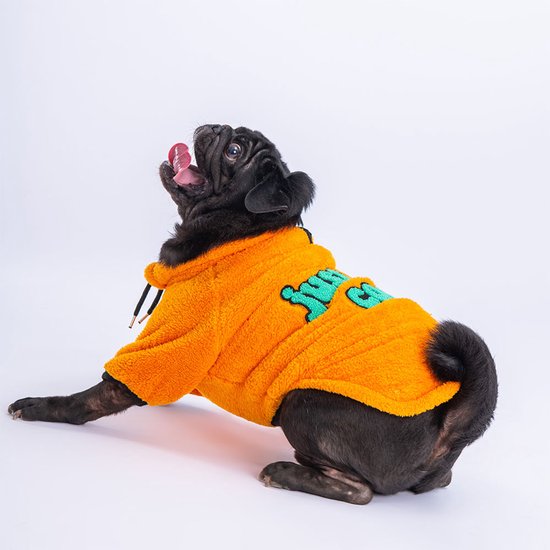 Zwarte hond likkend in een oranje fleece trui met "just be cool" opdruk.
