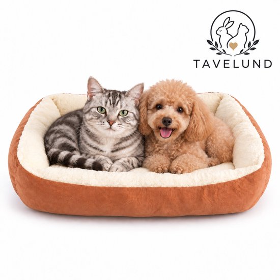 Un chat tigré gris et un caniche brun sont allongés ensemble dans un panier en velours côtelé orange avec doublure peluche crème.