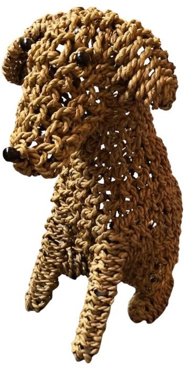 Sitting dog rope 50cm