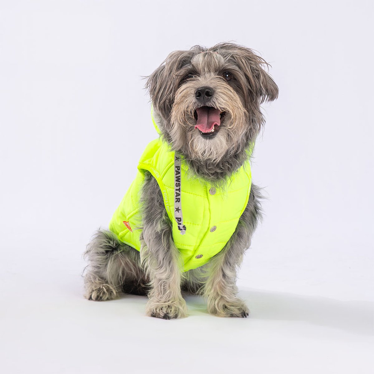 Pawstar Railway - Hondenbodywarmer - Neongeel - L