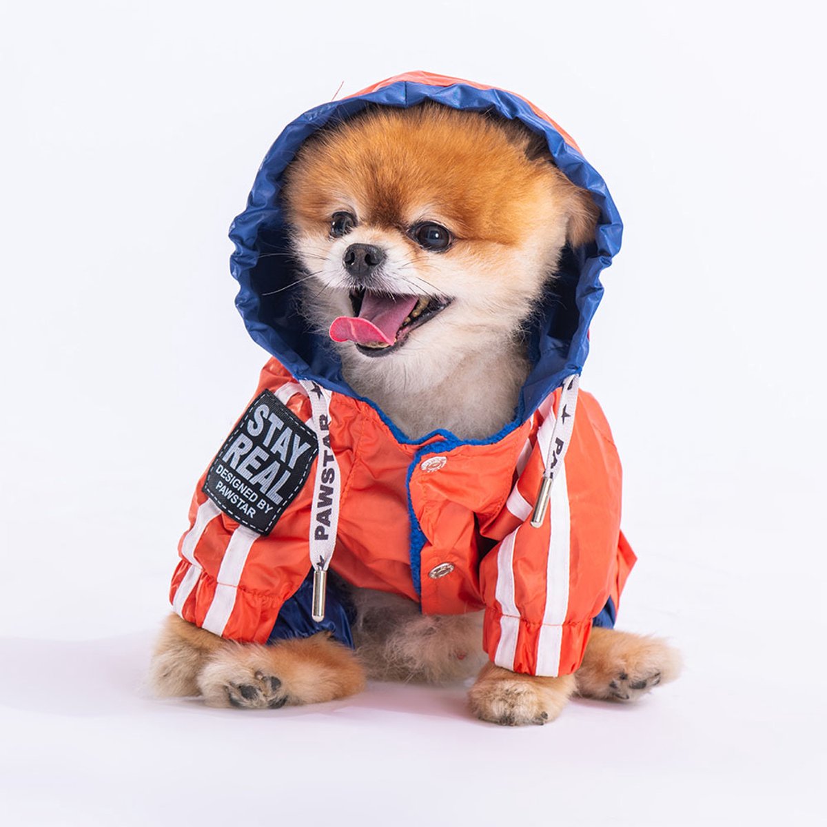 Pawstar BiColor - Hondenoverall - Oranje/Donkerblauw - XXL